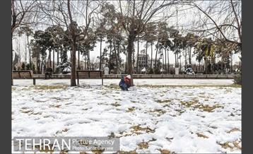 روز برفی در باغ موزه قصر‎ 11