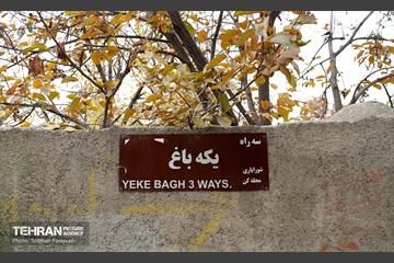 طبیعت پاییزی کوچه باغ‌های محله کن 11