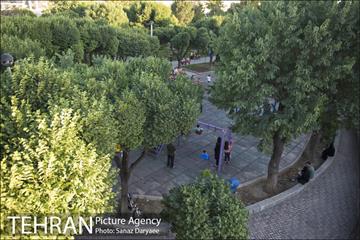 بوستان شقایق 11
