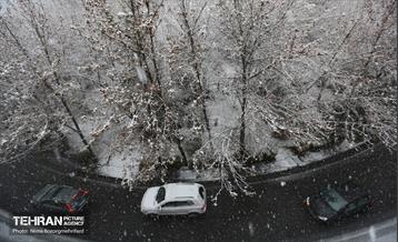 پل طبیعت سپیدپوش شد 15