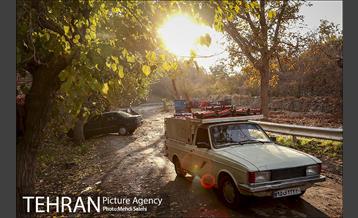 پاییز زیبای منطقه کن 10