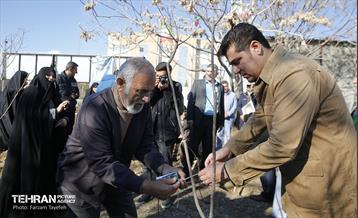 آیین کاشت 1310 نهال در منطقه 5 17