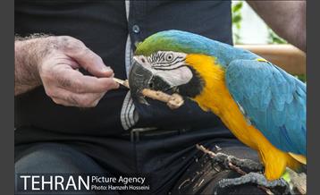 باغ پرندگان تهران 22