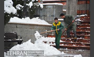 روز برفی تهران در بوستان ملت 6