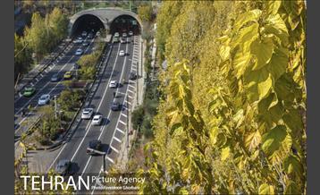 روزهای آفتابی زمستان 9