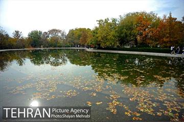 باغ گیاه‌شناسی ملی ایران 44
