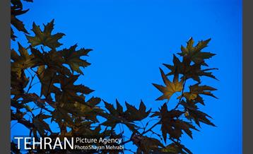 هوای تمیز تهران 7