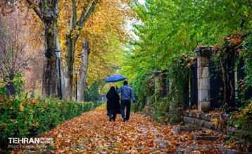 سمفونی رنگ های پاییزی / فرحناز آقایی