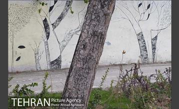 نقاشی هایی بر دیوارهای شهر 11