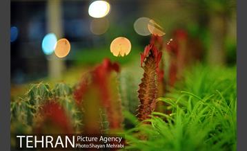 هشتمین نمایشگاه گل و گیاه تهران 23
