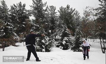 روز برفی تهران - 2 4