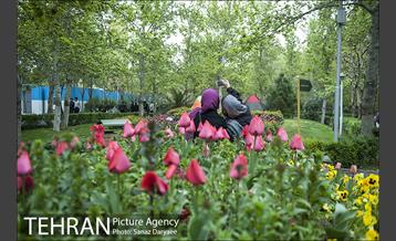 روز طبیعت بارانی در بوستان لاله 16