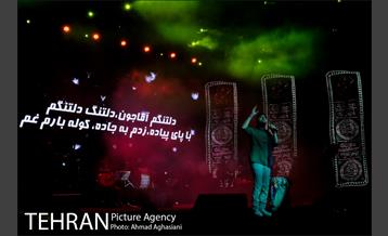 سوگ چامه ها، حامد زمانی 19