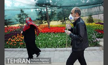 پیاده راه لاله مادران 54