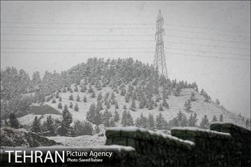 بارش نخستین برف پاییزی در تهران 6