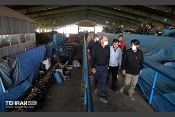 بازدید سخنگوی شهرداری تهران از سازمان مدیریت پسماند 19