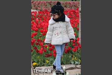 جشنواره لاله‌ها در بوستان زندگی محله هرندی 3