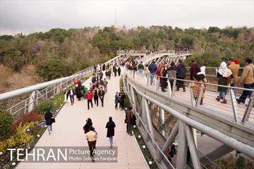 پل طبیعت در نوروز  6