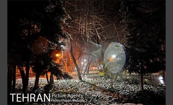 بارش برف در تهران 19