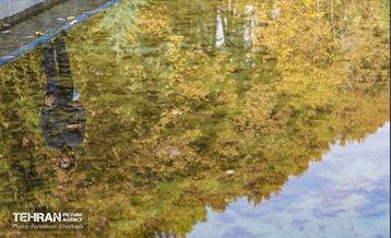 سمفونی رنگ های پاییزی - کاخ سعدآباد 18