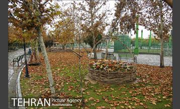 پاییز در بوستان رازی 2