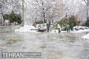 روز برفی تهران در بوستان ملت 8