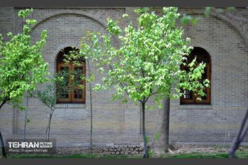 عمارت مسعودیه 4