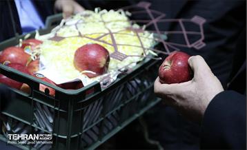 بازدید از سردخانه 14