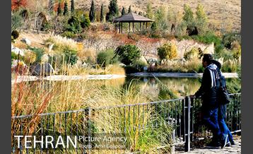 آبشار رنگارنگ 22