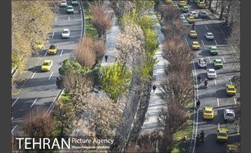 روزهای آفتابی زمستان 1