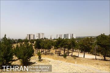 بوستان جنگلی یاس فاطمی 4