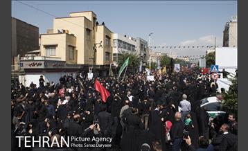 تشییع پیکر مطهر شهید محسن حججی 11