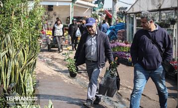 بازار گل شهید محلاتی در آخرین روزهاى سال 4