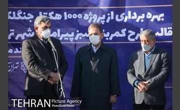 بازدید و افتتاح پروژه جنگل کاری 1000هکتاری در بوستان جنگلی تلو 21