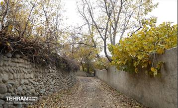 طبیعت پاییزی کوچه باغ‌های محله کن 12