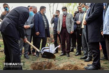 مراسم‌ کاشت نهال در بوستان بهاران منطقه ۱۷