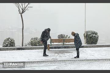 بارش برف زمستانی در منطقه ۲ 33