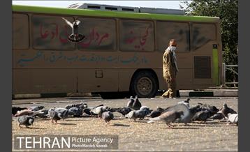 رژه نمادین اتوبوس های شرکت واحد به مناسبت آغاز هفته دفاع مقدس 1