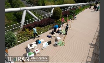 اولین جشنواره شهروند نقاش 18