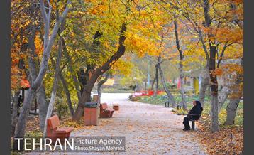 پاییز در پارک های تهران 26