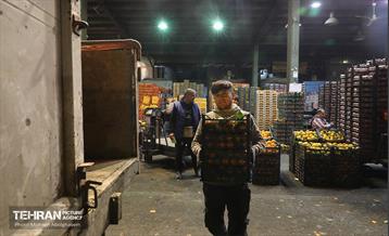 تره‌بار یلدایی 72