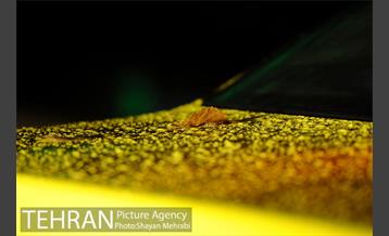 بارش شدید باران و تگرگ در تهران 37