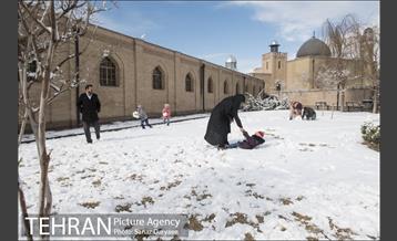 روز برفی در باغ موزه قصر‎ 2