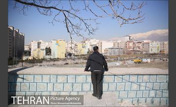 افتتاح پروژه های شهرداری منطقه ۴ 11