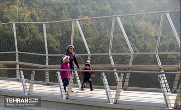 همایش‌ پیاده‌روی خانوادگی کارکنان شهرداری تهران 25