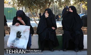 بدرود قهرمانان شهر-1 23