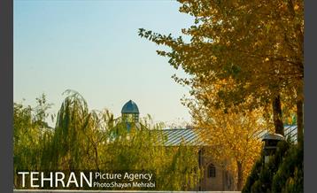 پاییز باغ موزه قصر 17