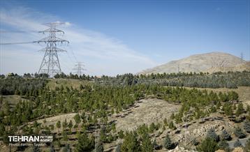 آیین غرس درخت در کوهسار  با حضور معاون فرهنگی قوه قضاییه 4