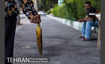 شیر بلال تابستان 4