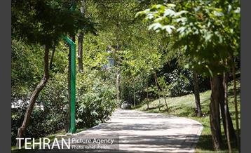 بوستان گلابدره 14